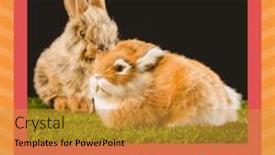  Presentation with celebration - Presentation having image-of-easter-monday-text background and a gold colored foreground