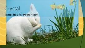  Presentation with rabbit - Slide deck with image-of-easter-monday-text background and a light blue colored foreground