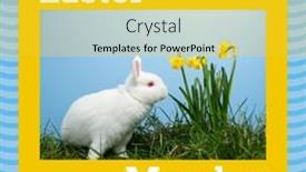  Presentation with rabbit - Presentation theme with image-of-easter-monday-text background and a yellow colored foreground