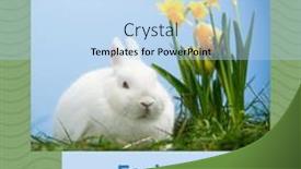  Presentation with rabbit - Presentation design enhanced with image-of-easter-monday-text background and a light blue colored foreground