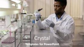  Presentation with lab mouse - Cool new slides with image-of-experimental-little-mouse backdrop and a gray colored foreground