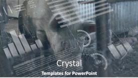  Presentation with digital farm - PPT theme consisting of image-of-financial-data-processing background and a dark gray colored foreground