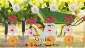  Presentation with harmony - Presentation design enhanced with image-of-flowers-icons-over background and a  colored foreground