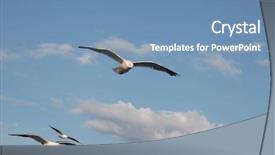  Presentation with microwave imaging image of modern - Colorful presentation theme enhanced with image of flying seagulls backdrop and a teal colored foreground