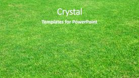  Presentation with spring - Slide set having image of fresh spring green background and a seafoam green colored foreground