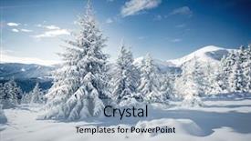  Presentation with happy new year - Colorful theme enhanced with image of frozen fir tree backdrop and a light blue colored foreground