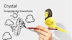  Presentation with parrot - Amazing slide deck having image of funny parrot in funny hat backdrop and a white colored foreground