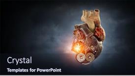  Presentation with human heart - Slides featuring image-of-human-heart-made background and a wine colored foreground