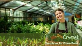  Presentation with apron - Audience pleasing presentation theme consisting of image of joyous florist woman 20s wearing apron carrying basket with plants while working in greenhouse backdrop and a tawny brown colored foreground