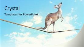  Presentation with kangaroo - PPT theme consisting of image of kangaroo walking background and a light blue colored foreground