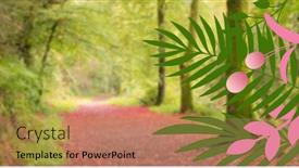  Presentation with thanksgiving - 