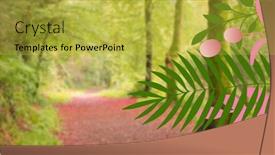  Presentation with thanksgiving - 