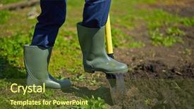  Presentation with seeds farmer - Audience pleasing PPT theme consisting of image of male farmer digging backdrop and a tawny brown colored foreground