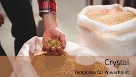  Presentation with brewery - Colorful presentation design enhanced with image of man holding barley backdrop and a coral colored foreground