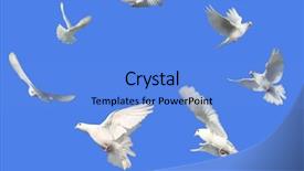  Presentation with white dove flying - Cool new presentation theme with image of peace - white dove backdrop and a light blue colored foreground