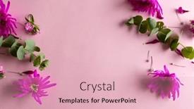  Presentation with mothers day - Presentation design featuring image-of-pink-flowers background and a lemonade colored foreground