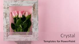  Presentation with mothers - PPT theme consisting of image-of-pink-tulips background and a lemonade colored foreground
