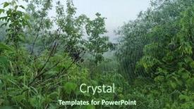 Presentation with spider web - PPT theme consisting of image-of-plants-with-dew background and a tawny brown colored foreground
