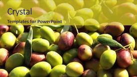  Presentation with olive - Presentation design consisting of image of ripe olives background and a  colored foreground