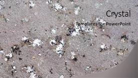  Presentation with ground handling - PPT theme having image of some bird poop background and a light gray colored foreground