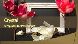  Presentation with magnolia - Presentation design with image of some magnolia flowers background and a tawny brown colored foreground