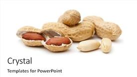  Presentation with peanut - Audience pleasing PPT theme consisting of image of some nice peanuts backdrop and a white colored foreground