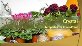  Presentation with red roses rose garden - Cool new presentation theme with image of some pink cyclamen backdrop and a tawny brown colored foreground