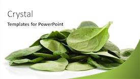  Presentation with spinach - Presentation theme enhanced with image of spinach and with white background background and a white colored foreground