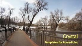  Presentation with flood - Cool new PPT layouts with orange lichen and moss on stone wall with asplenium trichomanes fern plant alone backdrop and a tawny brown colored foreground