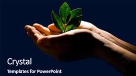  Presentation with sprout - Presentation theme enhanced with  background and a  colored foreground