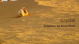  Presentation with western - PPT layouts with image-of-the-beautiful-pinnacles background and a gold colored foreground