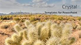  Presentation with arizona desert - Audience pleasing PPT theme consisting of image-of-the-cholla-cactus backdrop and a light blue colored foreground