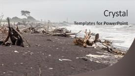  Presentation with being new resident - Presentation design consisting of image of the jade beach background and a light gray colored foreground