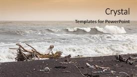  Presentation with being new resident - Colorful slide deck enhanced with image of the jade beach backdrop and a lemonade colored foreground