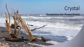  Presentation with being new resident - Audience pleasing PPT layouts consisting of image of the jade beach backdrop and a light blue colored foreground