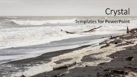  Presentation with new zealand - Amazing slide deck having image of the jade beach backdrop and a light gray colored foreground