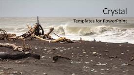  Presentation with new zealand - Colorful PPT theme enhanced with image of the jade beach backdrop and a light gray colored foreground