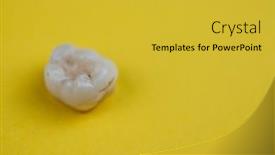  Presentation with decay - Beautiful PPT theme featuring image-of-the-removed-tooth backdrop and a yellow colored foreground