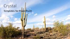  Presentation with arizona desert - Slide deck enhanced with image-of-the-superstition-desert background and a light blue colored foreground