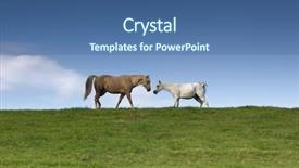  Presentation with horses - Slide deck featuring image of two horses eating grass background and a ocean colored foreground