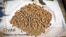  Presentation with bali - Slide deck enhanced with image of very special coffee from bali background and a coral colored foreground