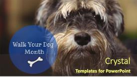  Presentation with ownership - Presentation design with image-of-walk-your-dog background and a tawny brown colored foreground