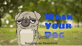  Presentation with ownership - PPT theme with image-of-walk-your-dog background and a  colored foreground