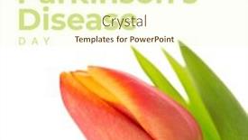  Presentation with colourful flower - Slide set with image-of-world-parkinson-s background and a cream colored foreground