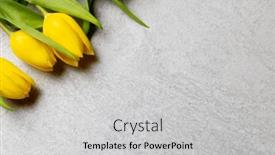  Presentation with mothers - Theme with image-of-yellow-tulips background and a light gray colored foreground