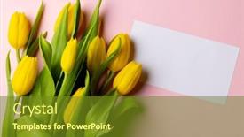  Presentation with mothers day - Presentation theme consisting of image-of-yellow-tulips background and a tawny brown colored foreground