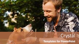  Presentation with beagle dog - Audience pleasing slide set consisting of image-of-young-caucasian-bearded backdrop and a coral colored foreground