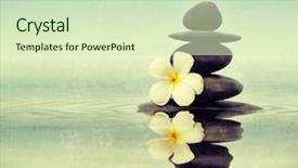  Presentation with grunge flower - Audience pleasing slide deck consisting of image of zen spa concept backdrop and a soft green colored foreground
