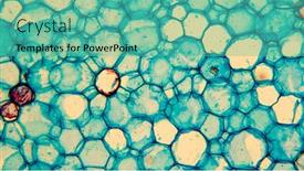  Presentation with cells - Amazing slide set having images-of-biological-cells-under backdrop and a seafoam green colored foreground