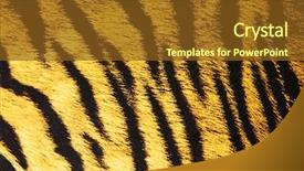  Presentation with leather - Presentation with imitation of tiger leather background and a tawny brown colored foreground